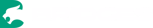 Bridges